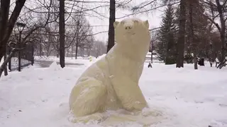 В Московском зоопарке открыли памятник белому медведю Диксону, спасенному в Красноярском крае