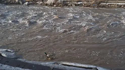 В большом Красноярске перешли на ежедневный мониторинг уровня малых рек