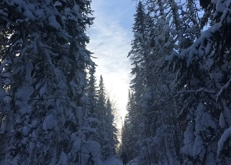 Похолодание до -36 градусов и слабый снег ожидаются в Красноярске 12 декабря