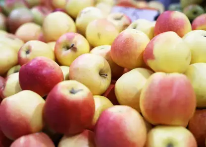 Более 2 тысяч тонн яблок привезли в Красноярский край в 2023 году