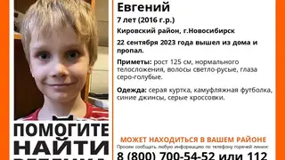 В Новосибирске бесследно исчез 7-летний мальчик В Новосибирске бесследно исчез 7-летний мальчик