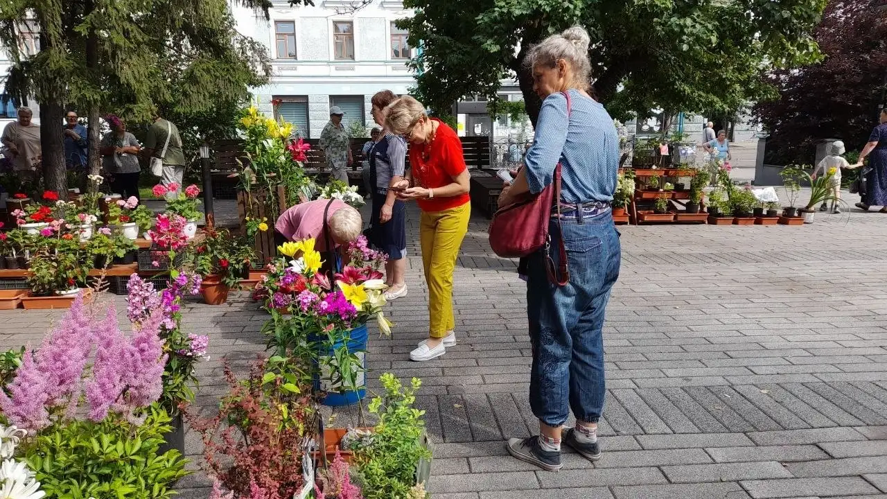 Фото: sibnovosti.ru