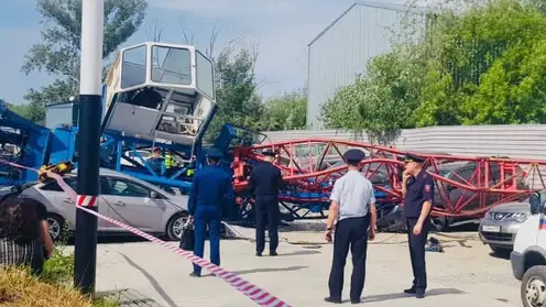 В Новосибирске при стройке дома упал башенный край, погиб машинист. Уголовное дело направленно в суд