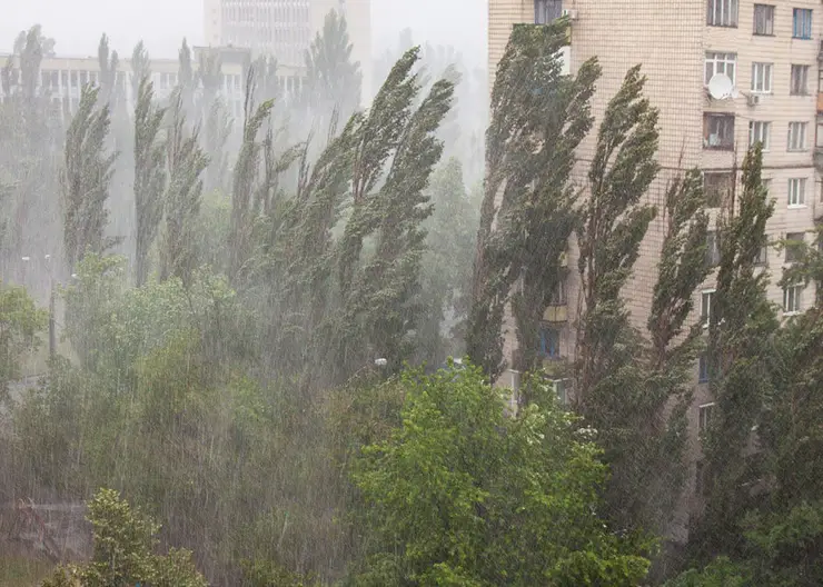 Сильные дожди пройдут 2 июля на юге Красноярского края