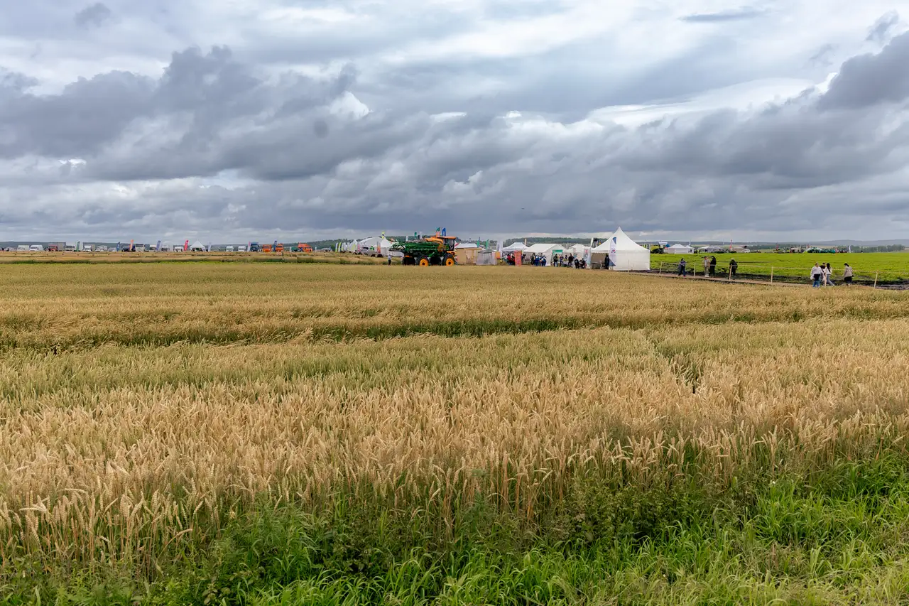 Фото: Корнеев К.