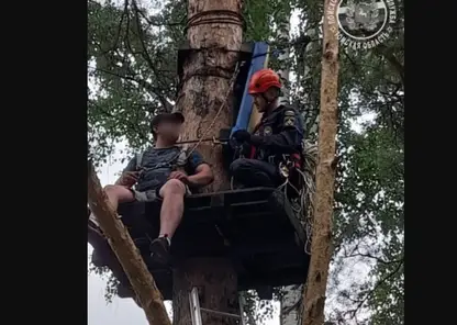 В экстрим-парке Томска мужчина застрял на дереве