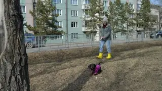 Красноярцы выбирают пространства для благоустройства в 2027 году Красноярцы выбирают пространства для благоустройства в 2027 году