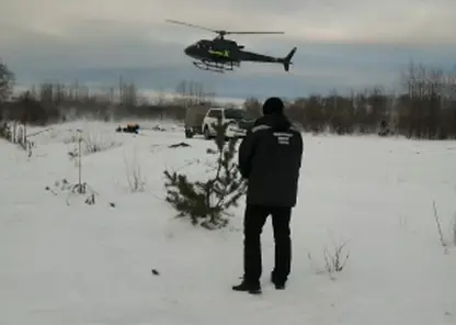 В Иркутской области при сходе снежной лавины погиб турист