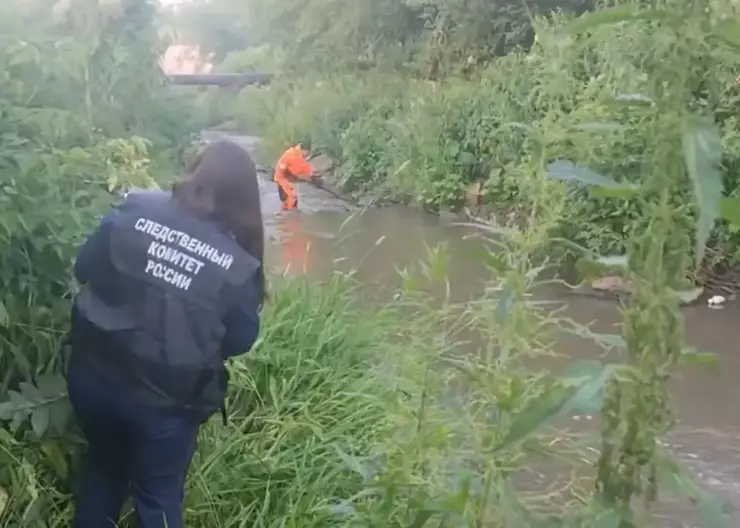 Расчленил и разбросал по Красноярску. Мужчина задержан по подозрению в убийстве