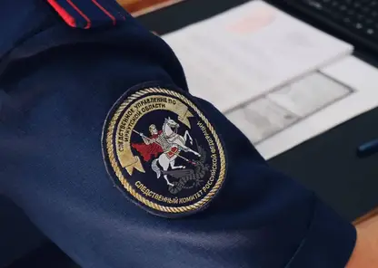 17-летнюю девушку задержали в Иркутской области за избиение 11-летнего ребенка