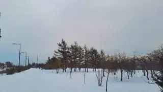 До 0 градусов потеплеет в Красноярске 31 декабря