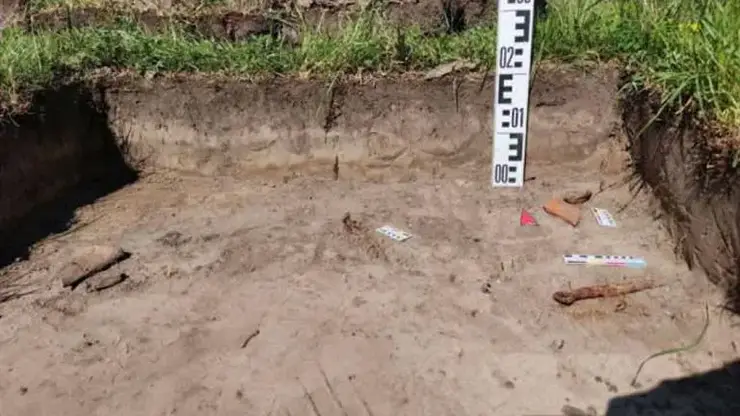 От глиняных сосудов до костей животных: в Татышев-парке нашли артефакты возрастом до 3 тысяч лет