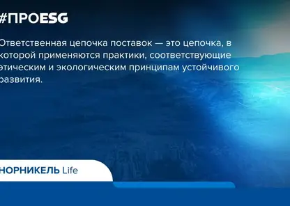 Без рисков: «Норникель» вовлекает поставщиков в повестку устойчивого развития