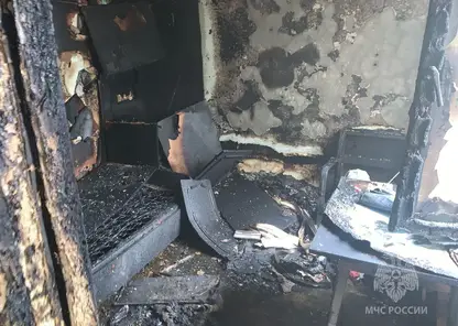 В Красноярском крае за сутки спасены двое человек на пожарах