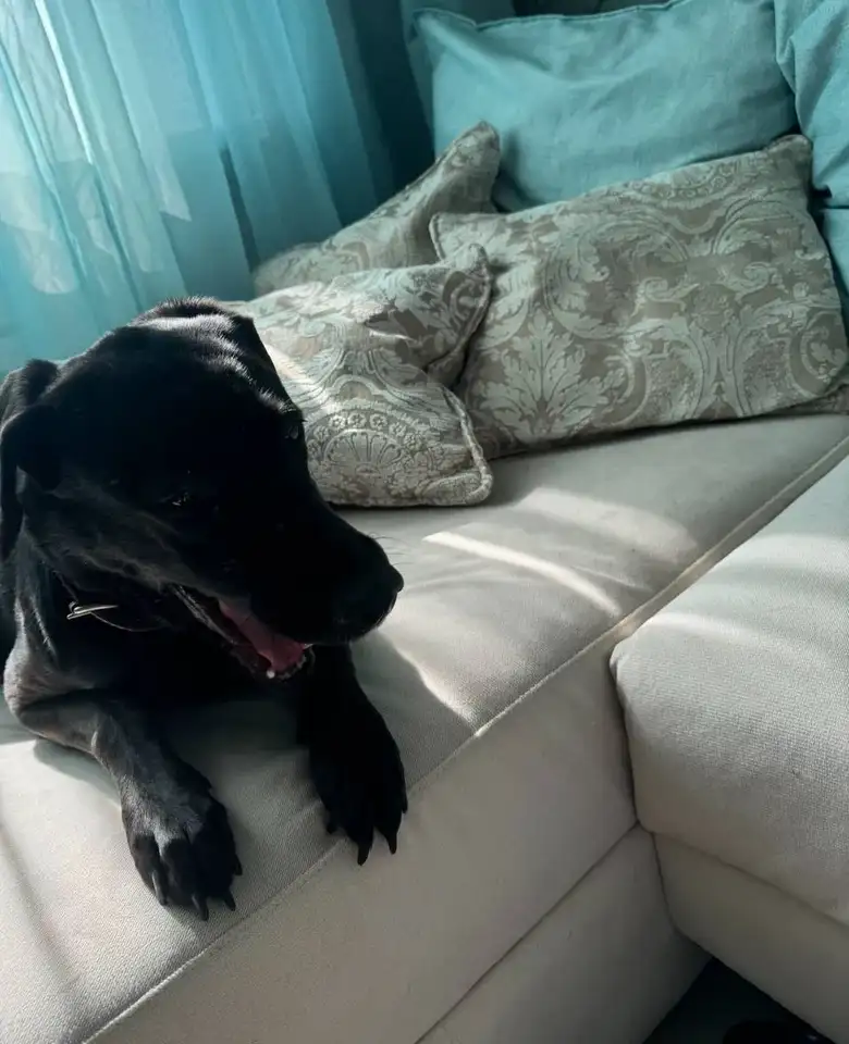 Фото: sibnovosti.ru