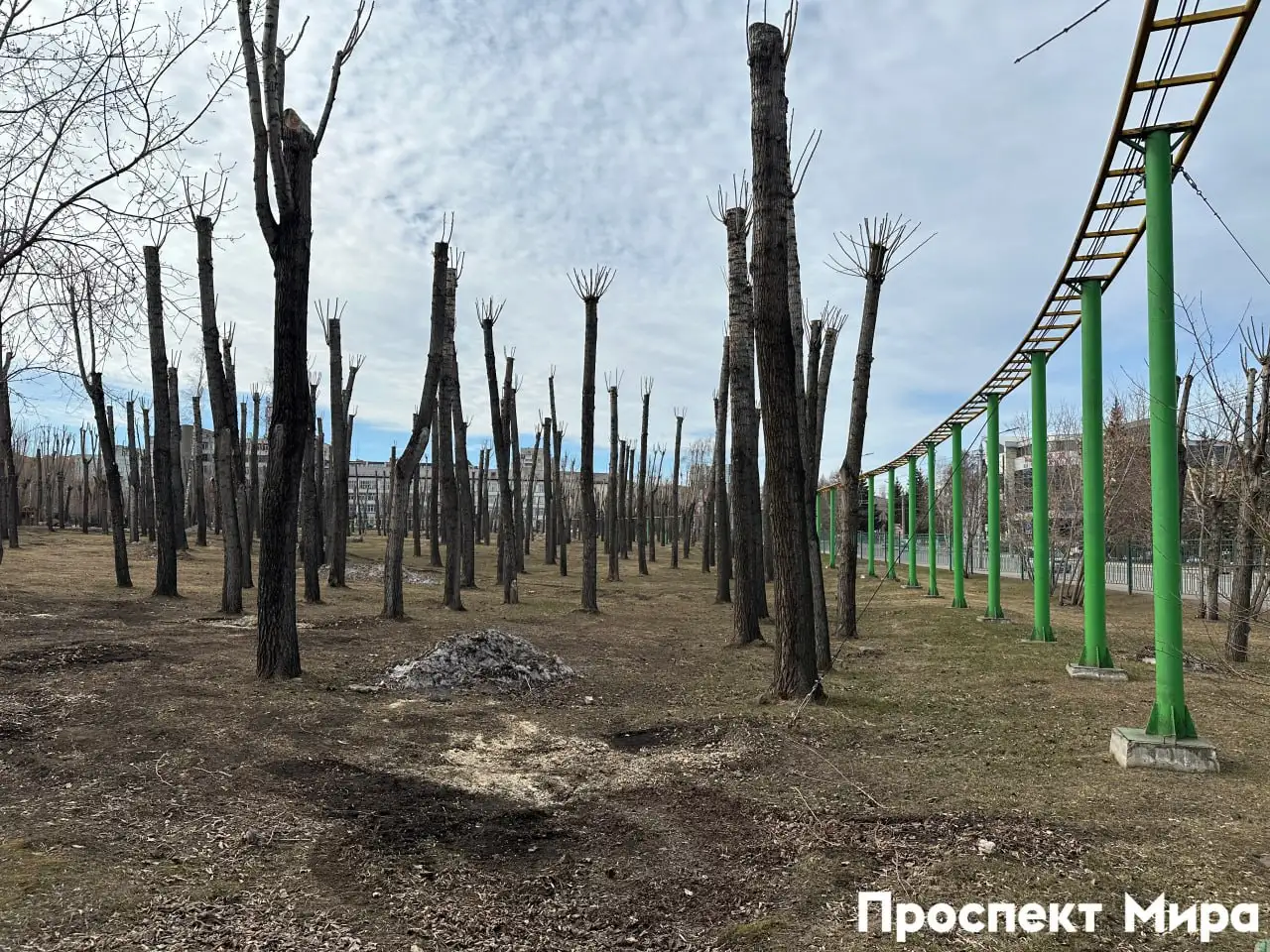 Фото: Проспект Мира