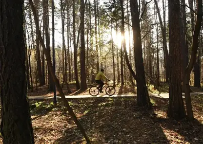 Красноярцам дали рекомендации о правильном выборе велосипеда