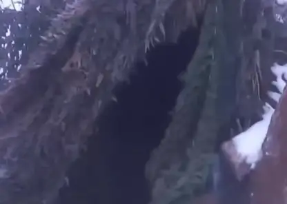 Красноярские бойцы СВО попросили о помощи из-за сильных холодов