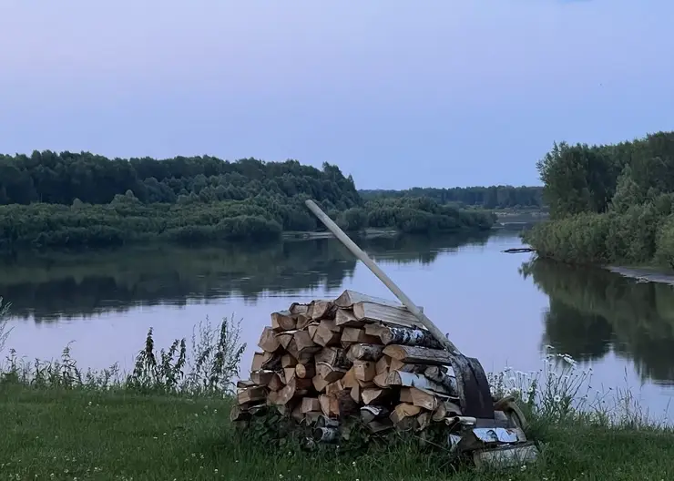 Житель Томской области оштрафован за оскорбление соседки, недовольной хранением дров