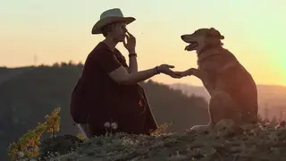 Первый пёс экоинспектор Хэппи из Красноярска поборется за победу в престижной всероссийской премии Первый пёс экоинспектор Хэппи из Красноярска поборется за победу в престижной всероссийской премии