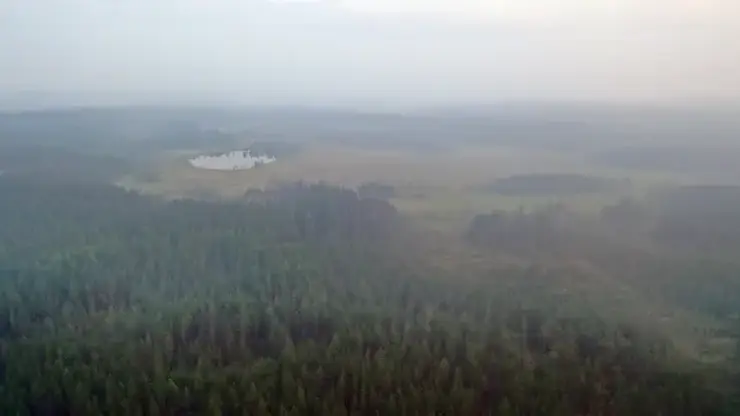Въезд в леса перекроют в Иркутской области по распоряжению губернатора из-за пожарной опасности