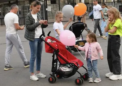 Многодетные матери смогут выйти на пенсию досрочно с 2026 года