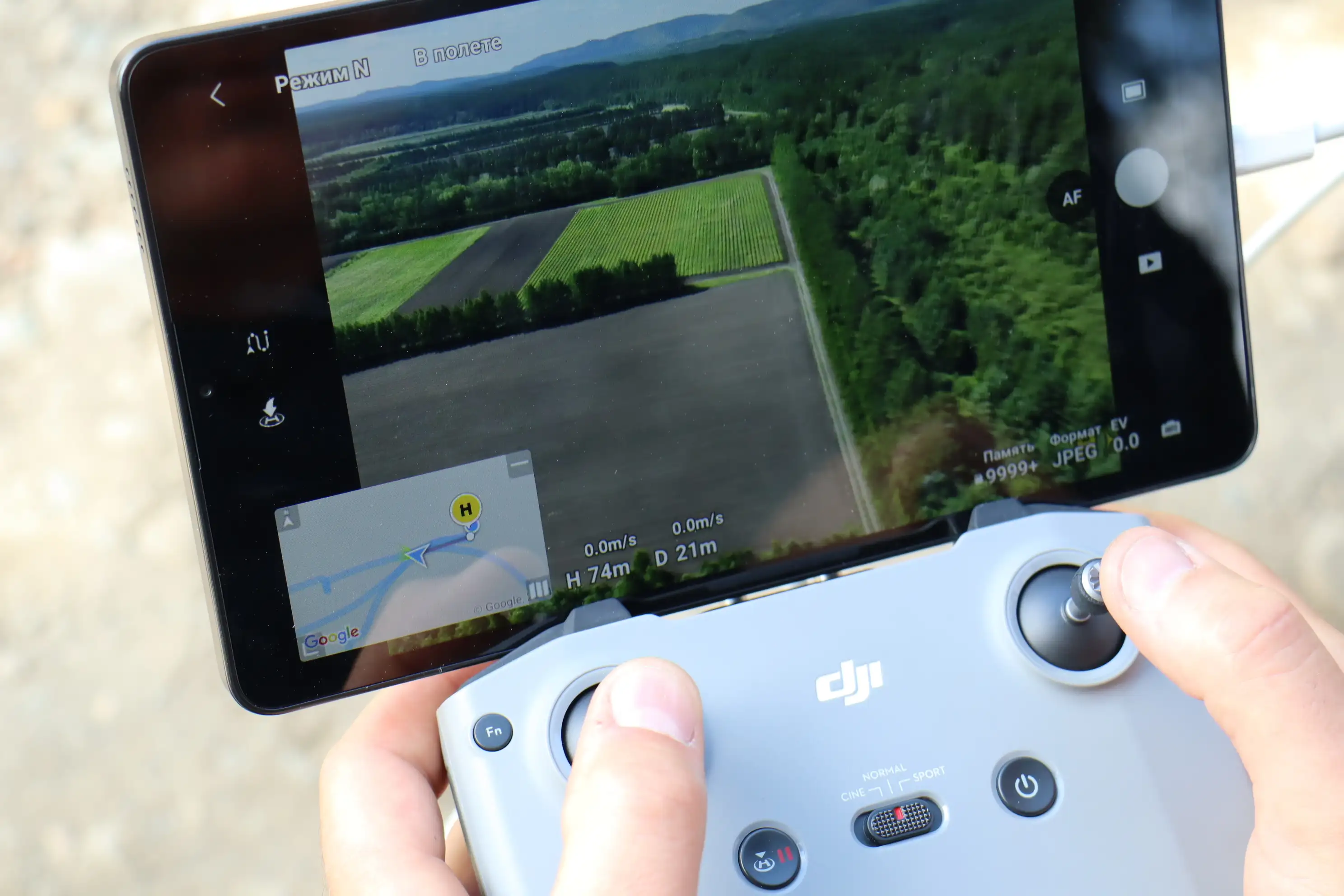 Фото: пресс-служба краевого Лесопожарного центра