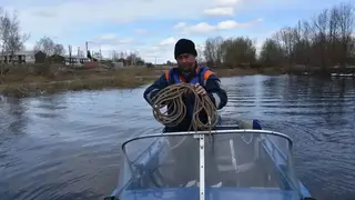 В Красноярском крае спасатели эвакуировали собаку, которая три дня просидела на острове из-за разлива реки