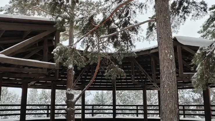 12 февраля в Красноярске заметно похолодает