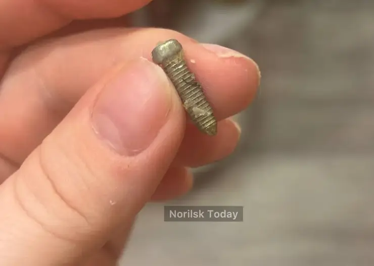Положили болт. Норильчанка нашла в купленных блинчиках необычный ингредиент