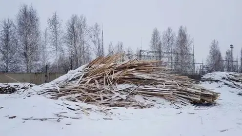 Контрабанду древесины почти на 5 миллионов рублей выявили в Красноярском крае