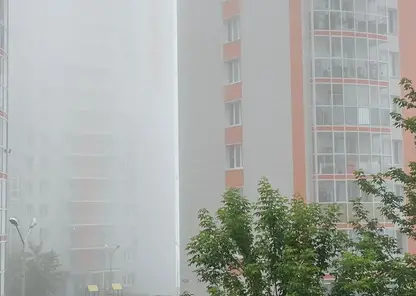 7 сентября в Красноярском крае прогнозируют туман и грозы