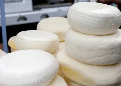 Красноярцам рассказали, чем полезен осетинский сыр