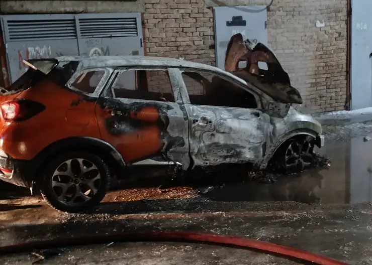 Полиция задержала подозреваемого в поджоге автомобиля сопредседателя ОНФ в Красноярском крае