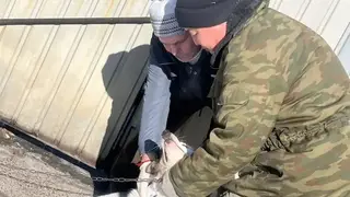 В Забайкалье с 1 марта начнут штрафовать владельцев собак без регистрации В Забайкалье с 1 марта начнут штрафовать владельцев собак без регистрации