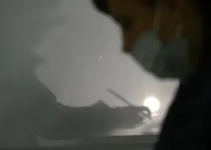 Нотариус рассказала об особенностях составления завещания: в документах можно оговорить домашних питомцев и даже криптовалюту