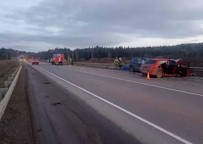 Три человека погибли из-за аварии в Манском районе края