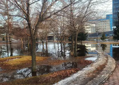 Днем только плюс. В Красноярске ожидается теплая, но пасмурная неделя
