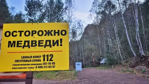 За визит на закрытые из-за медведей «Красноярские Столбы» будут штрафовать
