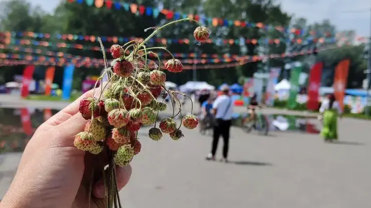 В Красноярском крае первый день фестиваля «МИР Сибири» посетили 12000 зрителей