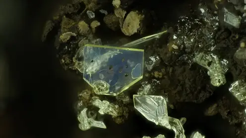 Бактерии-«поджигатели»: томские ученые раскрыли неожиданную причину возгорания угля