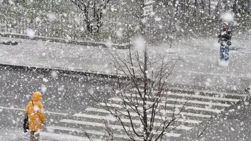 В Красноярске за неделю выпадет до 10 сантиметров снега