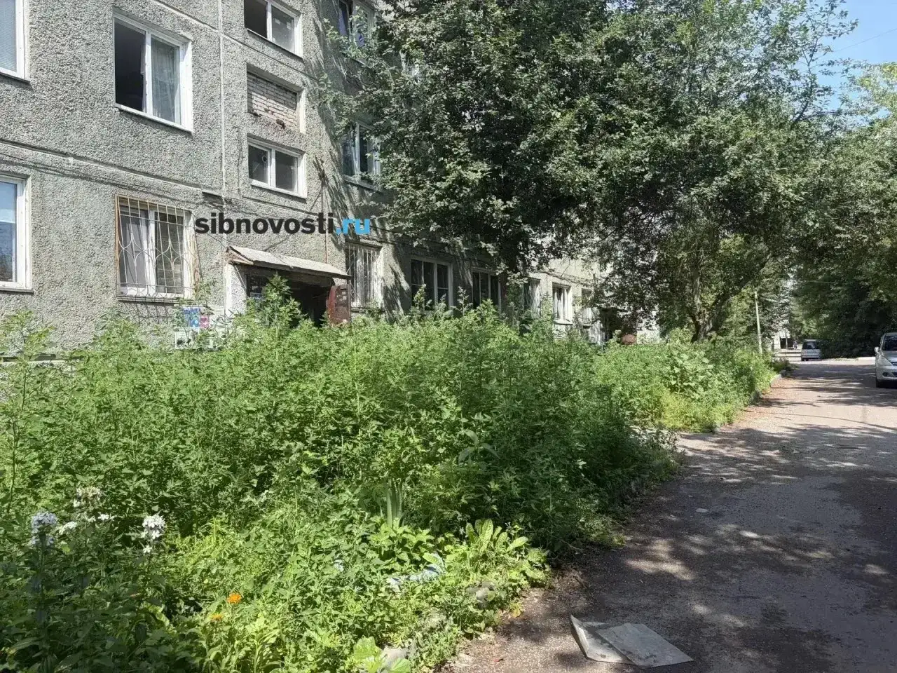Фото: sibnovosti.ru