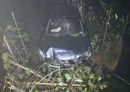 Пожилой мужчина слетел в кювет на собственном автомобиле и погиб на трассе в Красноярском крае