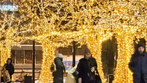 В Красноярске начинают создавать новогоднее настроение: улицы украсят светящиеся деревья