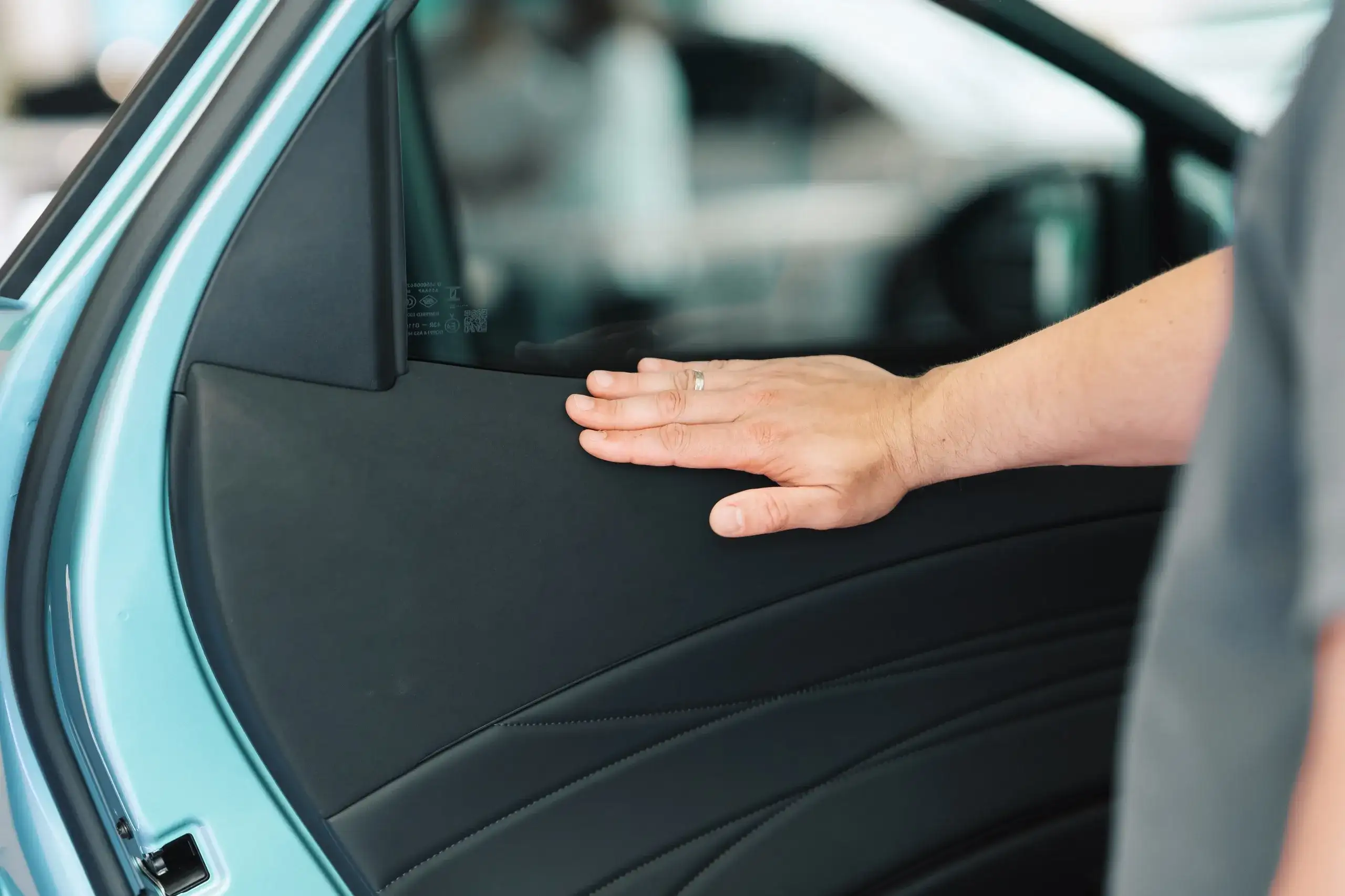 Фото: © «Медведь Альянс»