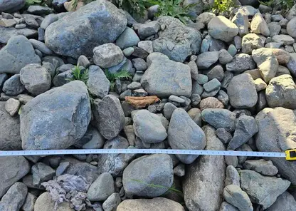 Руководителя дорожной компании в Красноярском крае заподозрили в мошенничестве из-за булыжников на сельских улицах