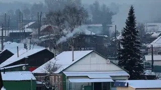 Почти 700 многодетных семей в Красноярском крае воспользовались поддержкой на ведение подсобного хозяйства