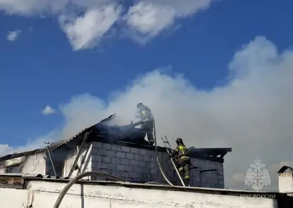 В Красноярском крае за сутки потушили 12 пожаров