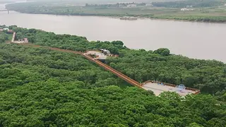 Россия, Китай и КНДР объединятся в туристическом проекте «Туманганский путь»